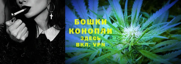 бутират Белокуриха