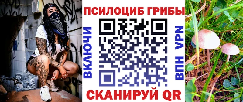 Псилоцибиновые грибы Psilocybe  магазин продажи наркотиков  Шадринск 